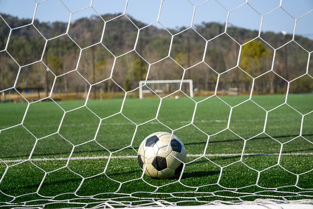 又能最大化 又能最大化