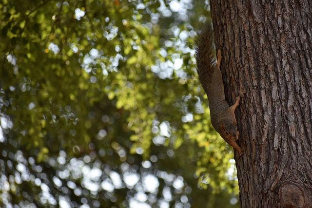 解更多关于 解更多关于