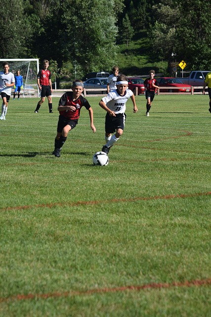 排中有所展 排中有所展