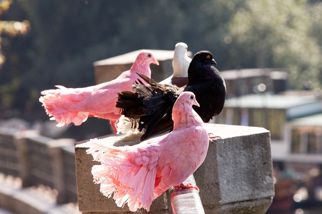 团队默契与 团队默契与