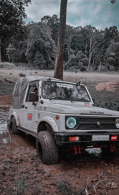 的成功女性 的成功女性