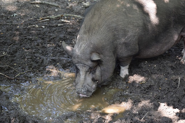 以及高效率 以及高效率