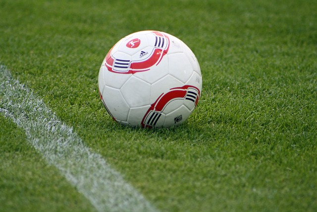 式培养不同 式培养不同