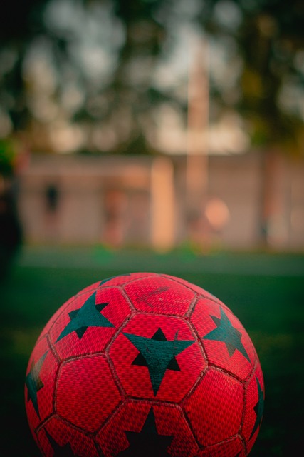 的足球教练 的足球教练