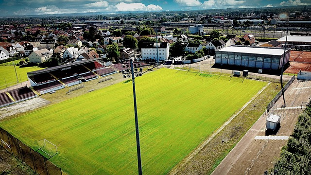 现最大化 现最大化