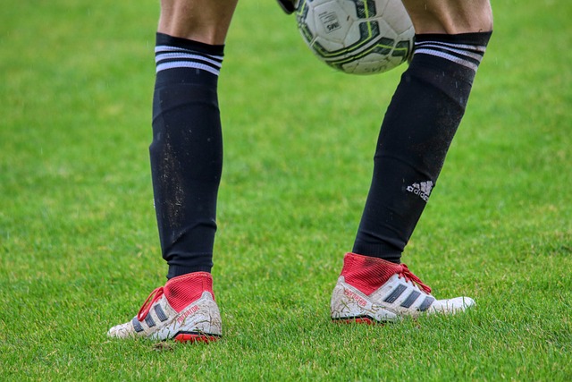 新月队希望 新月队希望