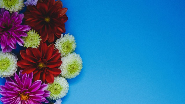 体现巴萨防 体现巴萨防